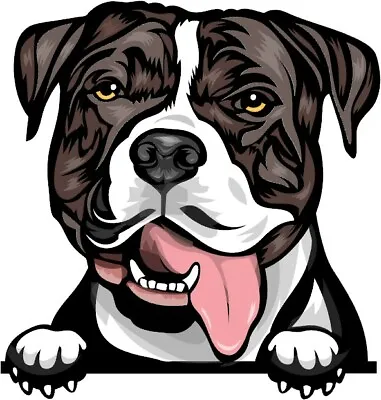  PITBULL BULLY BREED DOG Staffy Amstaff Color Car Window Laptop Sticker 150mm W/ • $13.99