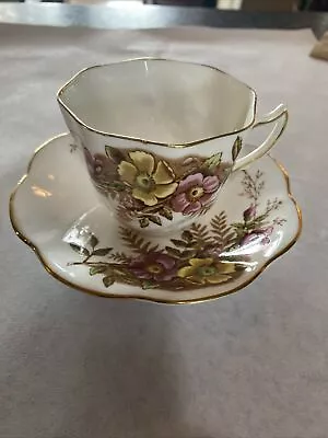 Vintage Rosina Bone China England Tea Cup & Saucer • $12.99