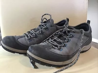 Ecco Walking Shoes • £15