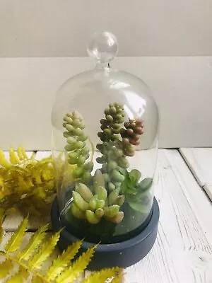 £12 • Buy Display Cloche Vintage Glass Bell Dome Jar Curiosity  Home Decor Faux Plants
