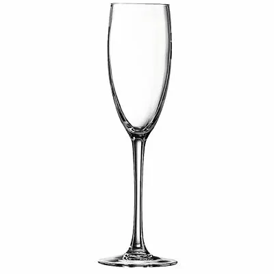 Pack Of 24 Chef & Sommelier Cabernet Tulip Champagne Flutes 160ml Glass • £99.59