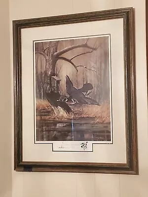 Vtg RJ McDonald Summer Duck Hideaway Signed 916/1750 Print Framed Waterfowl Art  • $64.99