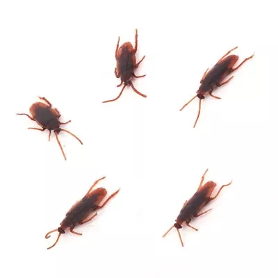 5 X Joke Cockroach Bug Funny Prank Novelty Life Like Fake Plastic Toy Trick NEW • £2.49