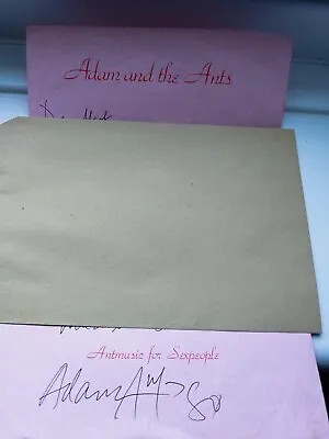 Adam And The Ants    Signed Pink Letterheaded Reply Letter From 1980 Folded • £50