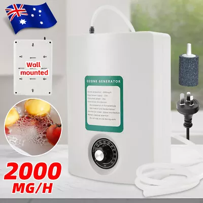 Portable Ozone Generator Purifier 2000mg/h Air Freshening Fits Water Fruit Food • $40.95