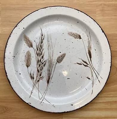 Vintage Midwinter Stonehenge  WILD OATS  10 1/2  Dinner Plate By MIDWINTER LTD • $18.99