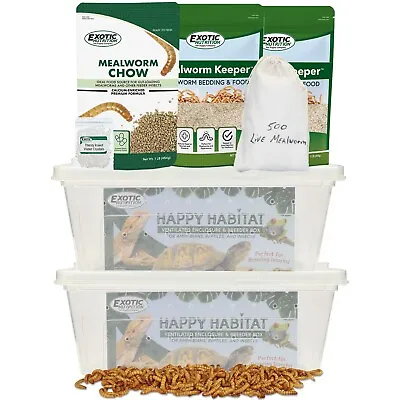 Mealworm Breeder Kit Expanded - Breeder Kit For Feeder Insects For Reptiles • $57.99