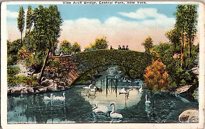 New York City NY Central Park Vine Arch Bridge Swans Vintage Postcard • $4.67