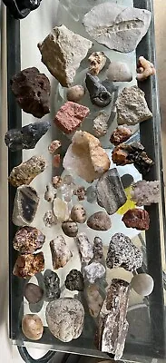 Lot Of Various USA Rocks Fossils Minerals Rough Specimens Estate • $62