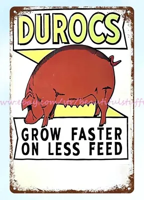 Contemporary Wall Decor Duroc Hog Pig Livestock Farm Metal Tin Sign • $18.80