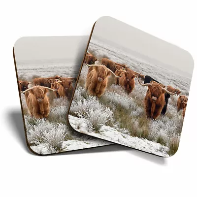 £4.99 • Buy 2 X Coasters - Highland Cattle Cow Scotland Scottish Gift #16283-2