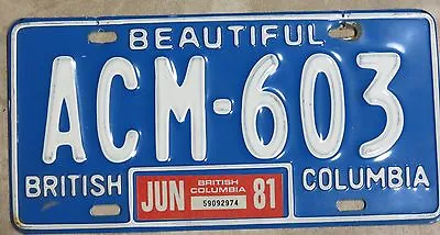 Vintage BEAUTIFUL British Columbia ACM 603 81 Tag BC CANADA License Plate  • $19.95