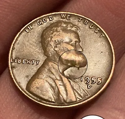 1955 D Lincoln Wheat Cent “L” Under Lincolns Chin & “D” Mint Doubled Under Ear • $153