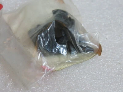 $8.78 • Buy V36 Genuine Suzuki Marine 52115-87D01 Drive Shaft Cap OEM New Factory Boat Parts