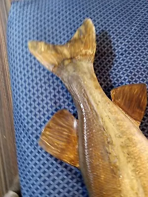 1960s REAL SKIN NORTHERN PIKE Muskie Fish Mount TAXIDERMY HUGE! MINNESOTA  • $199