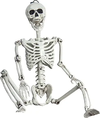 3Ft Halloween Poseable Skeleton Realistic Human Full Body Bones With Movable Joi • $30.36