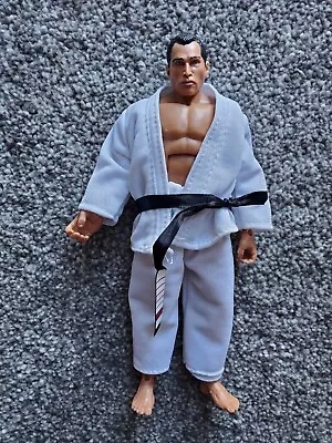 2009 Jakks Legends Series 0 UFC Royce Gracie Deluxe Figure • $24.99