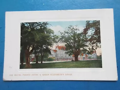 Old 1908 Postcard Of The Royal Forest Hotel & Queen Elizabeth's Lodge. • £0.99