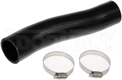 Chevy C3500 Pickup Fuel Filler Hose 15644293 GMC Dorman 573-010 • $38.30