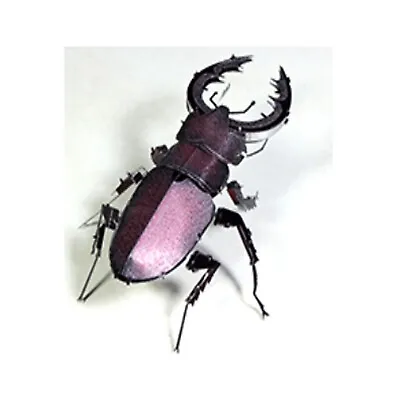 Metal Model Stag Beetle Purple 3D Laser Cut Sheet Metal Model DIY Kit Hobby Gift • £12.95