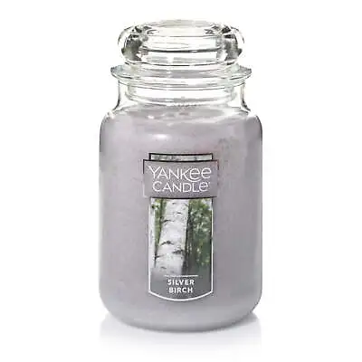 $18.50 • Buy Yankee Candle Silver Birch - Original Large Jar Scented Candle
