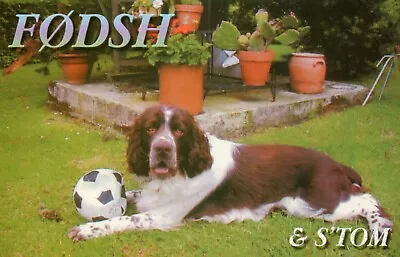 £2.99 • Buy 1 X QSL Card Radio France F0DSH Loos En Gohelle 2003 ≠ S935