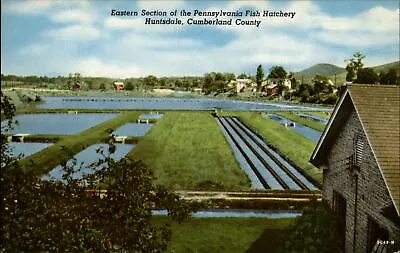 Huntsdale Pennsylvania Fish Hatchery Aerial View ~ 1950s-60s Vintage Postcard • $1.99