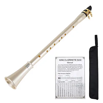 Portable Pocket Saxophone Little Sax Mini Sax With Carry Bag For Beginner • $55.83