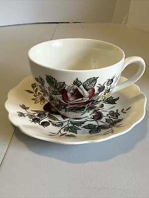 Meakin Sol Dark Pink Rose And Fruit Teacup And Saucer In Excellent Condition... • $13.50