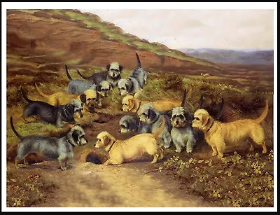 £4.99 • Buy Dandie Dinmont Terrier Group Of Dogs Lovely Vintage Style Dog Art Print Poster