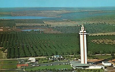 Postcard FL Clermont Florida Citrus Tower Posted 1960 Chrome Vintage PC G1754 • $3