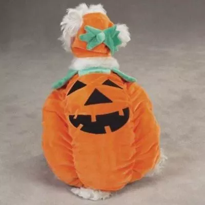 Orange Pumpkin Pooch Dog Costume By Zack And Zoey Smaller Sizes Unisex • $12.59