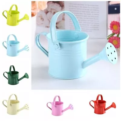 Thickened Mini Metal Watering Can Large Capacity Sprinkler  Garden • £4.56