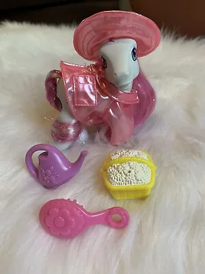 My Little Pony G3 Rain Or Shine Garden Time With Star Swirl 2004 • $8