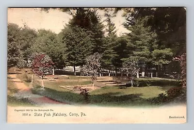 Corry PA-Pennsylvania State Fish Hatchery Pine Trees Vintage Postcard • $7.99