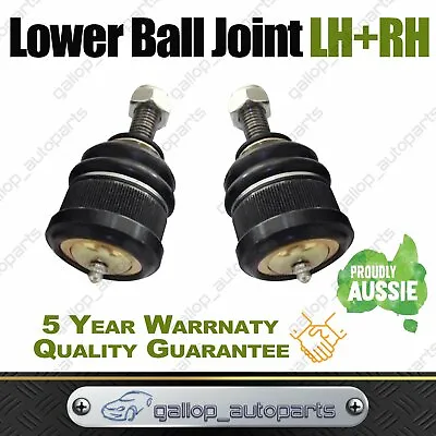 Fit Ford Falcon AU/BA/BF Front Lower Ball Joint. BA3395A. Heavy Duty • $45