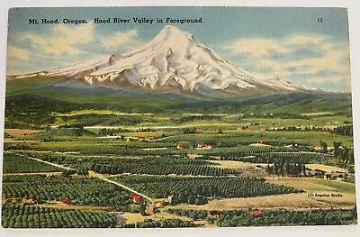 Mt Hood Oregon Birds Eye View Hood Valley In Foreground Vintage Postcard • $2.99