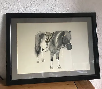 Pencil & Watercolour Drawing Of A Horse- Stunning • £35