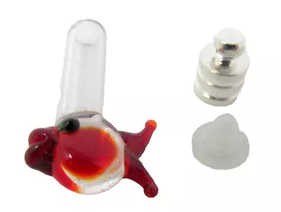 Fish Red Glass Vial 1  Bottle Charm Cremation Ashes Pendant Rice Instructions • $9.49