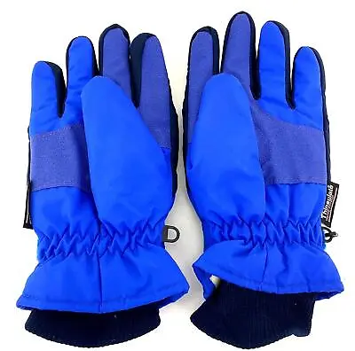 Nylon Gloves Thinsulate Thermal Insulation Men's XL Blue Winter Ski Snow Gloves • $11.95