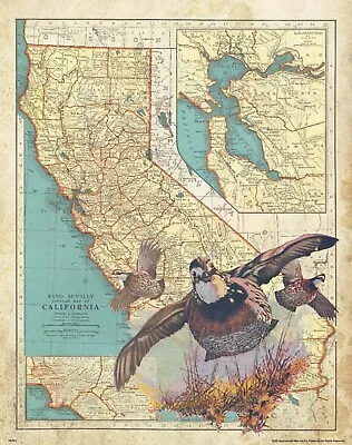 Quail Hunting Vintage California State Map Art Print Calls Cabin Wall Decor • $9.95