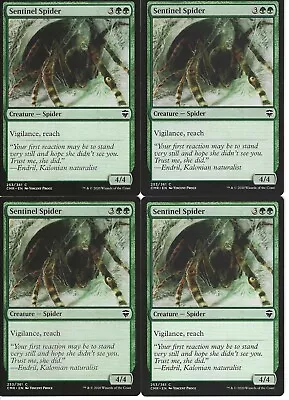 Pauper Spiders Reach : Magic MTG Custom Casual Pauper 60 Card Deck (Green) • $10.99