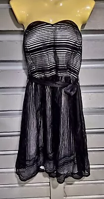 City Chic Dress Xs • $5