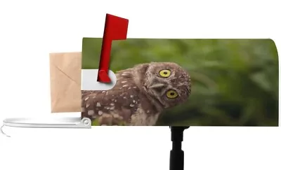 Owl Magnetic Mailbox Cover • $9.99