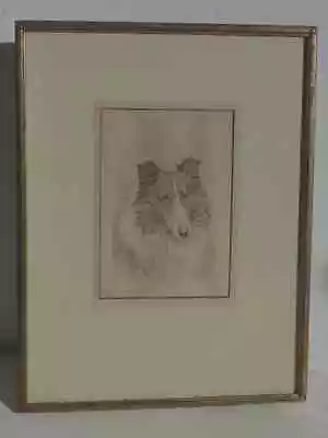Marguerite Kirmse American Artist Collie Dog Portrait Etching Signed Pencil  • $299.99