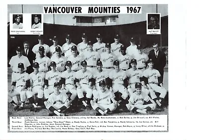 Original 1967 Vancouver Mounties 8.5x11  Team Photo Sal Bando Blue Moon Odom • $125