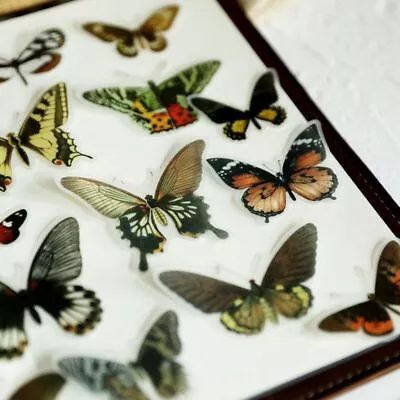 88Pcs Butterfly Vellum Scrapbooking Stickers DIY Planner Card Making Art Project • $18.52