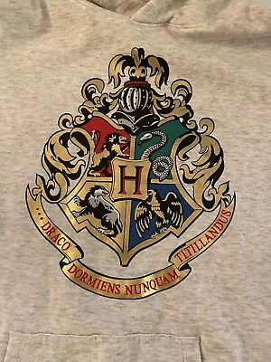 Harry Potter X H+M: Hogwarts Hoodie Sweatshirt And Pants Set • $4