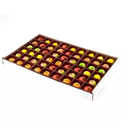 Marzipan 54 Piece Assorted Fruit Box Tray Net Weight 25 Oz • $35.29