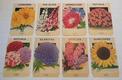 Lot Of 8 Vintage FLOWER SEED PACKETS (S8)-Schmidt Litho Co-Unused-3 1/4  X 5  • $22